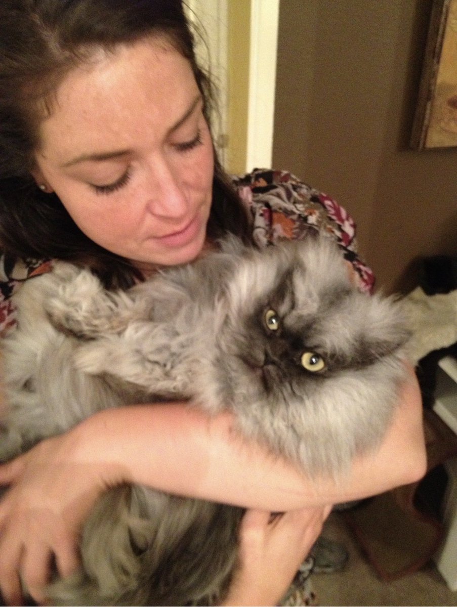 colonel_meow's tweet photo. hey guys!

just popping in to say I appreciate the gesture to send me rewards to benefit colonels legacy. that is amazing. I will be joining forces with the $colonel meow army! 😻

I'm in communications with the community admin and will be posting the CA on my socials shortly 💕 https://t.co/Npgn4gvthz
