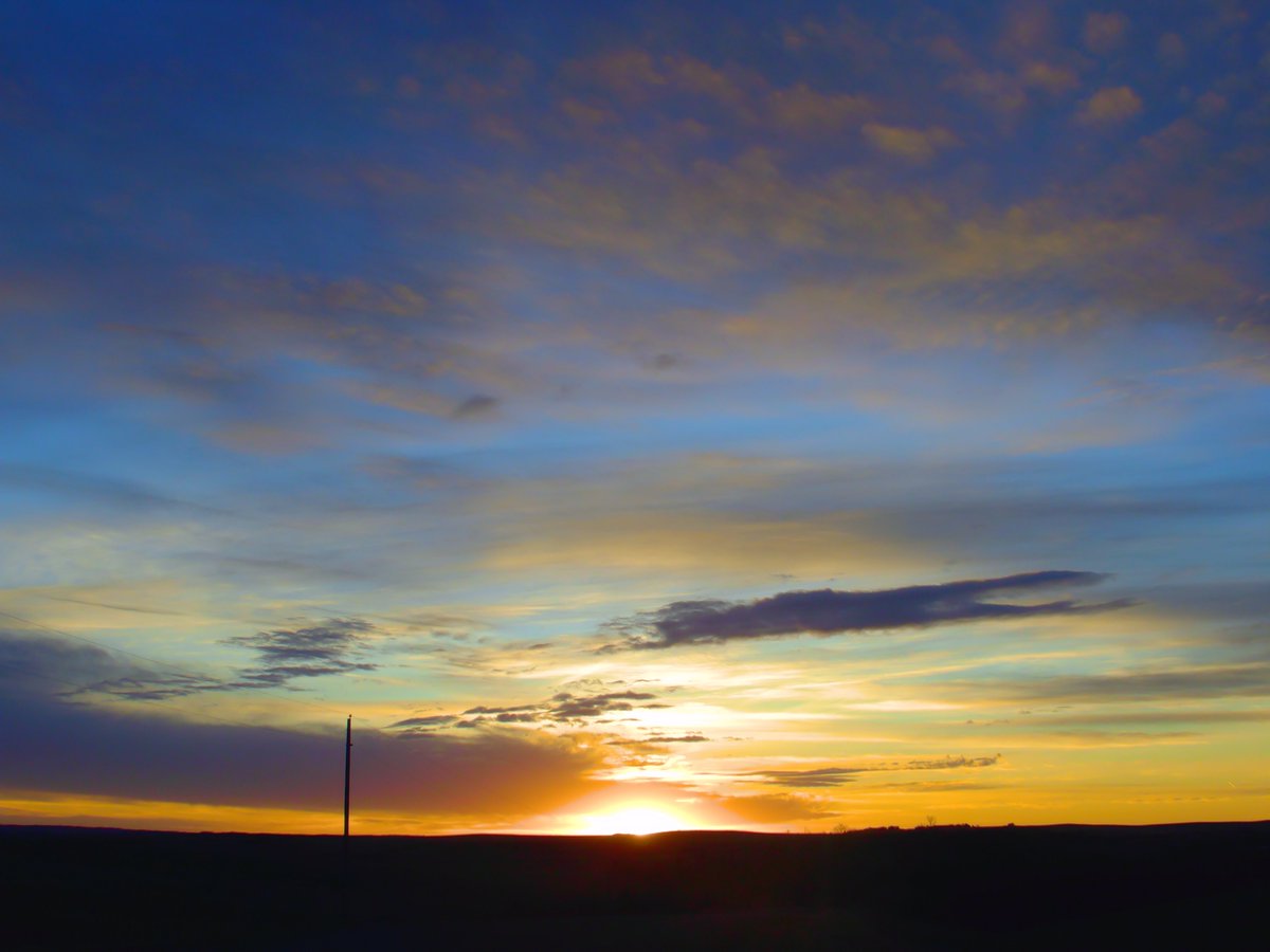 Reed Persson tweet media