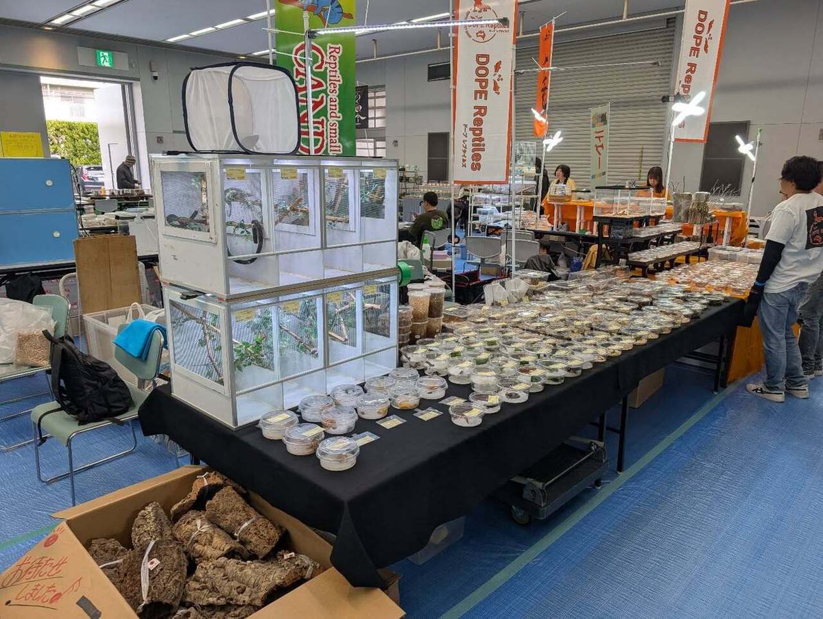 CANDLE ハタノ tweet media