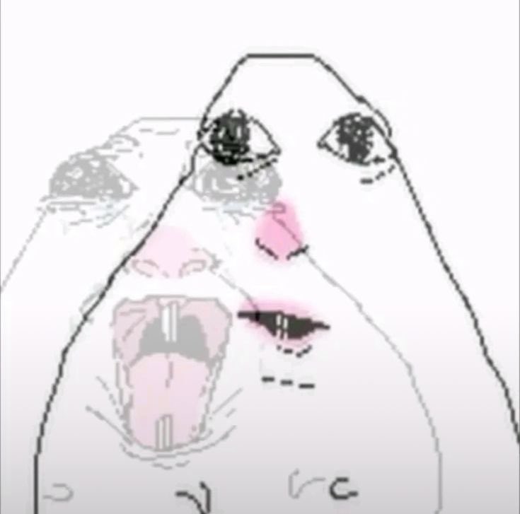 Rose 💛🪽 tweet media