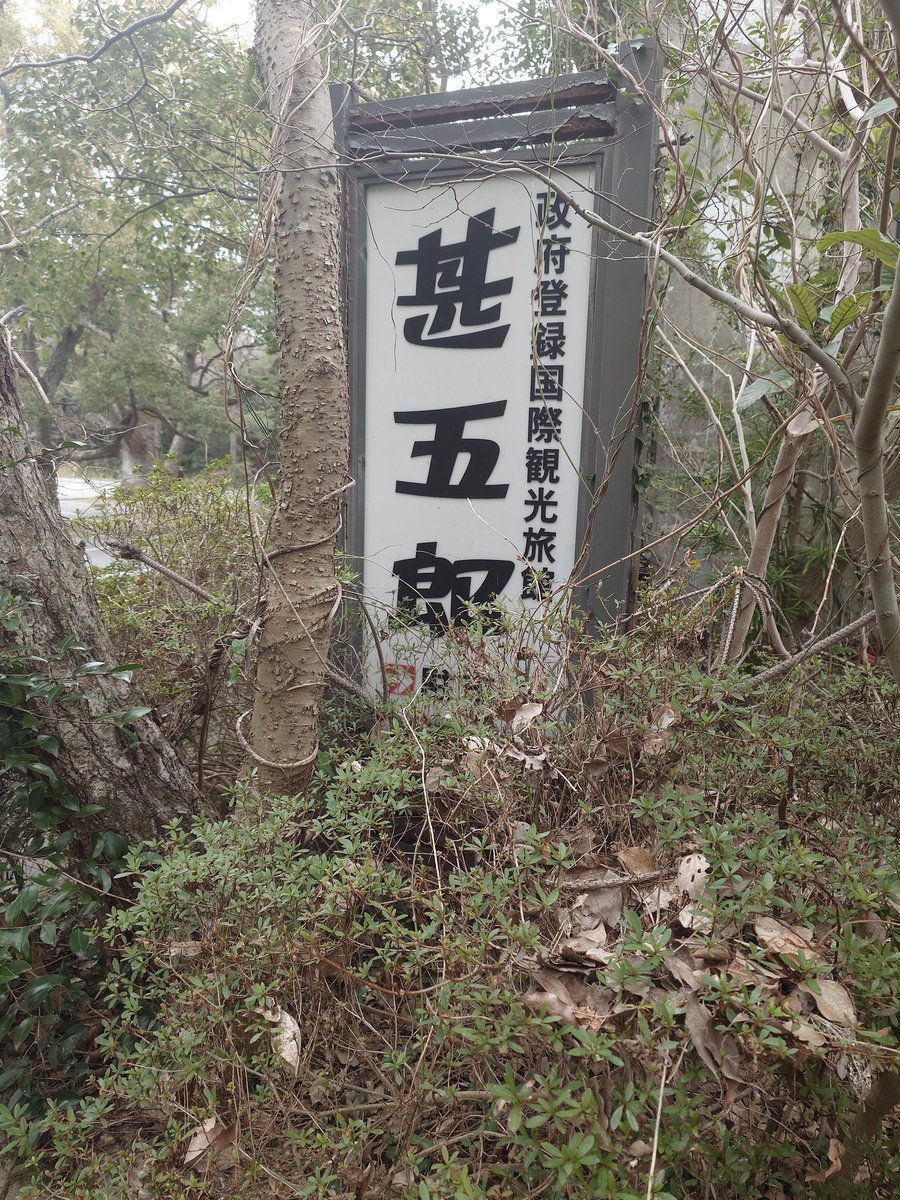 とむ＠高知 tweet media