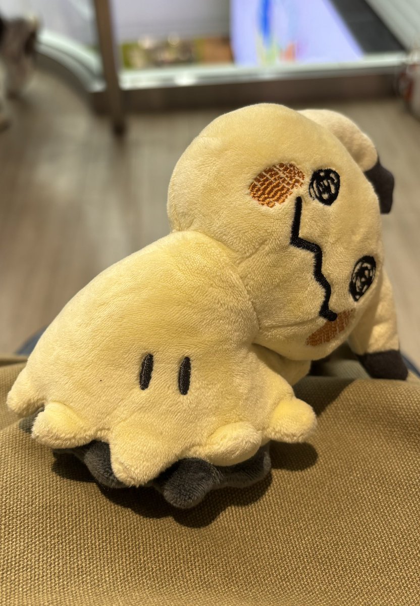 のぎい tweet media