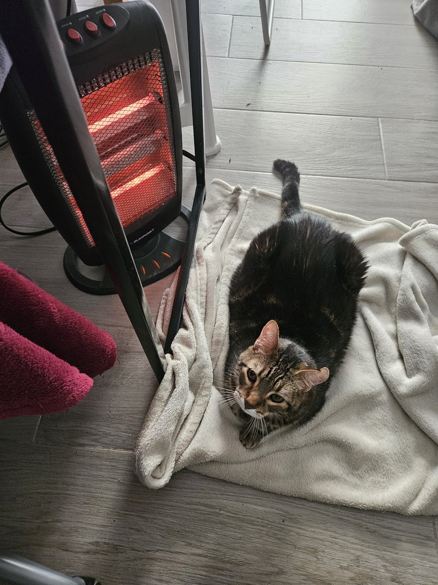 Si, soy Eva tweet media