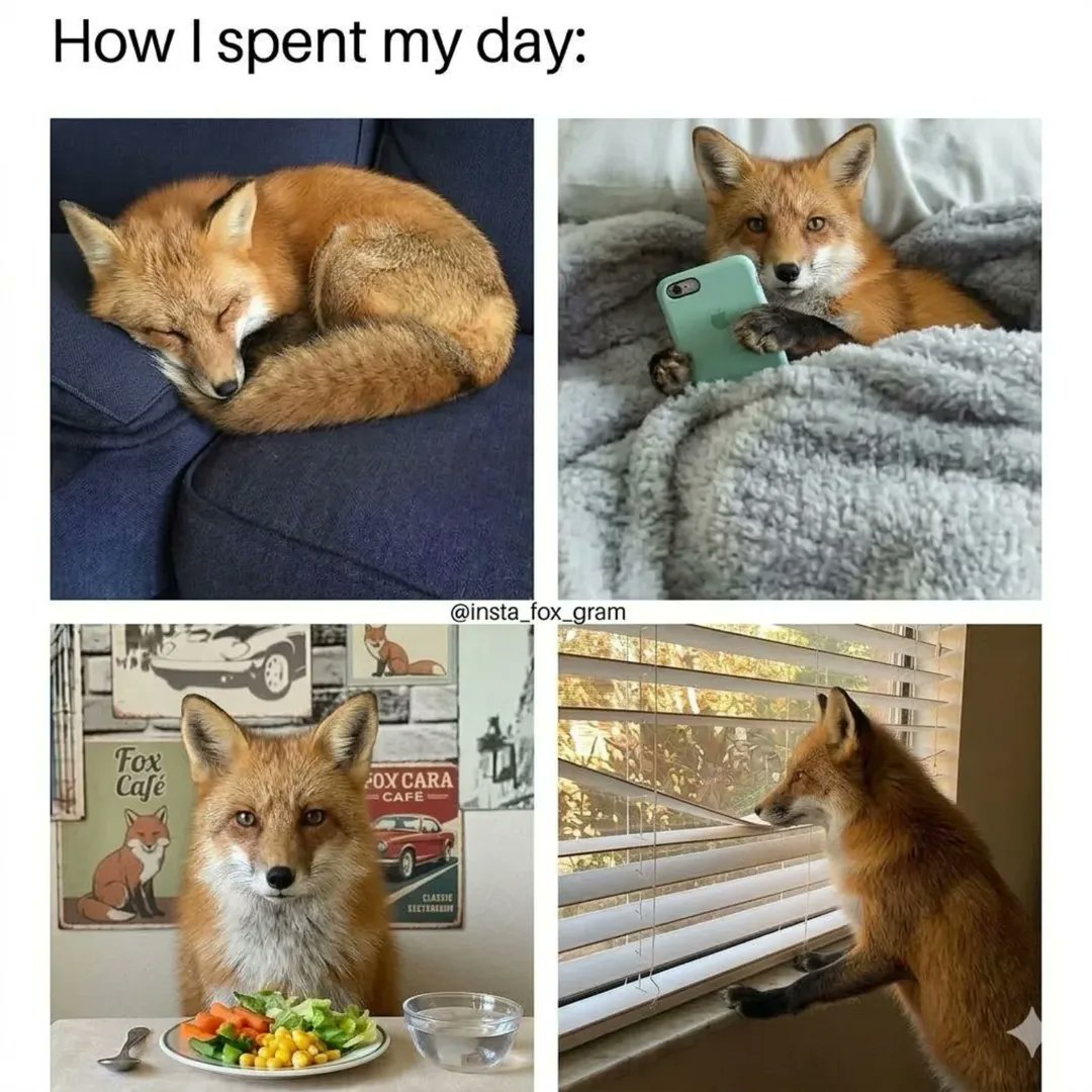 千ㄖ乂 🦊 tweet media