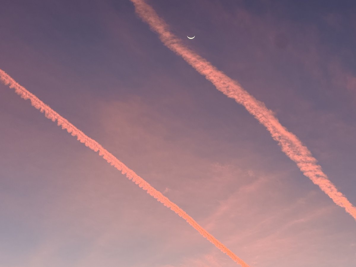 Brian Tyson, MD 🇺🇸 tweet media