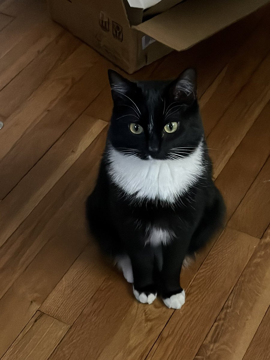 toby🪷☠️ tweet media