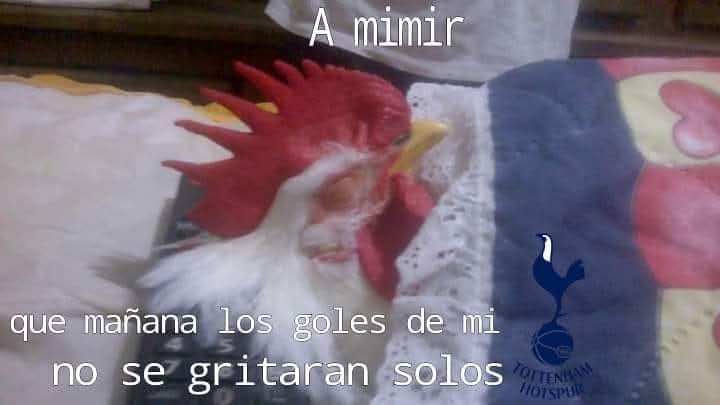 Tottenham Bolivia tweet media