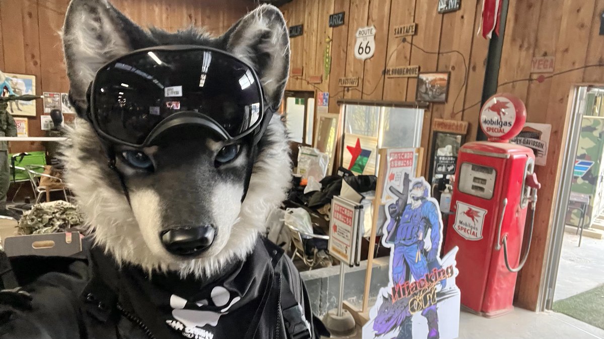 Kohaku 琥珀 tweet media