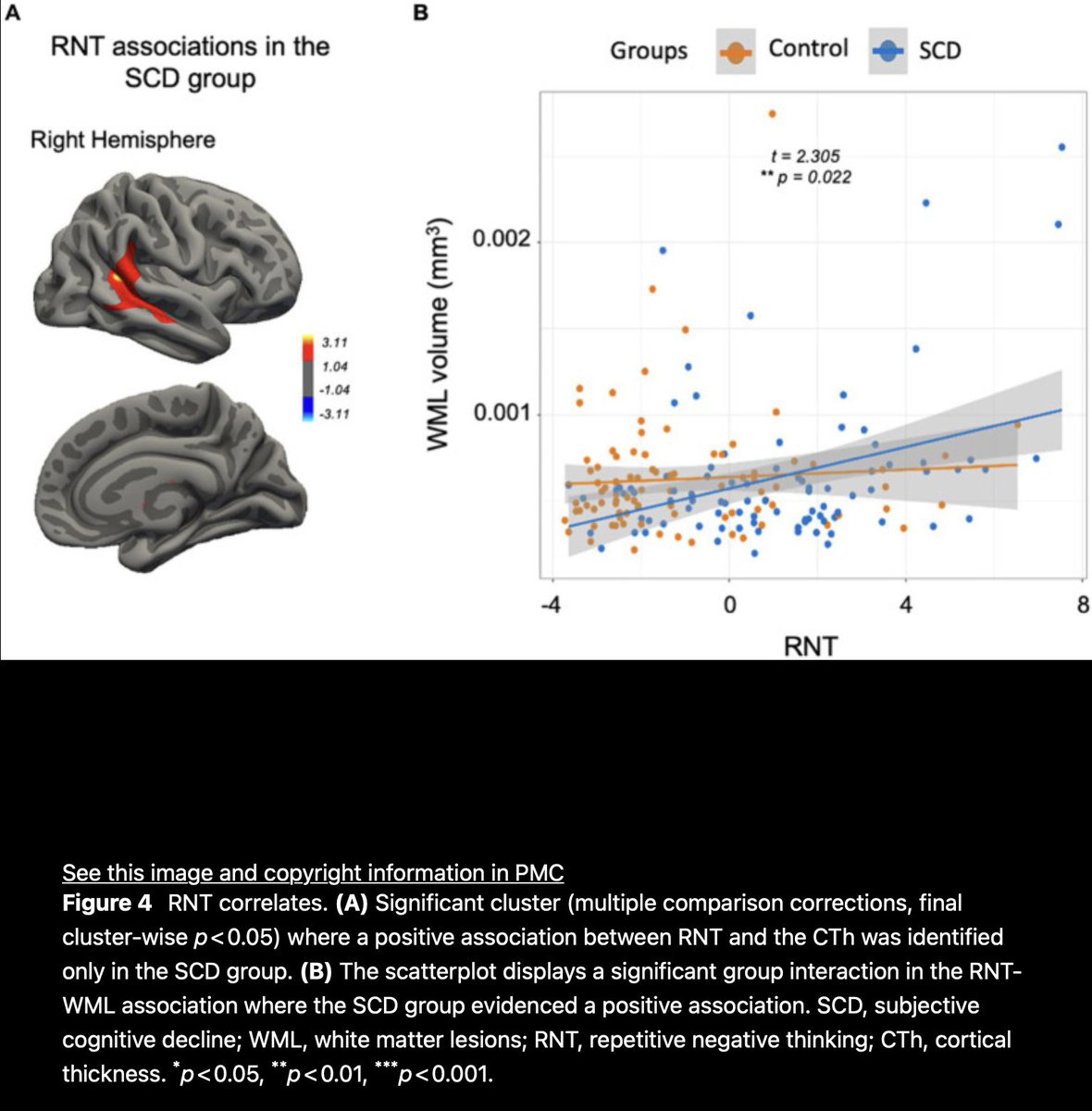Food Cut tweet media