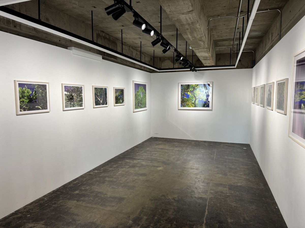 遠藤一成 tweet media