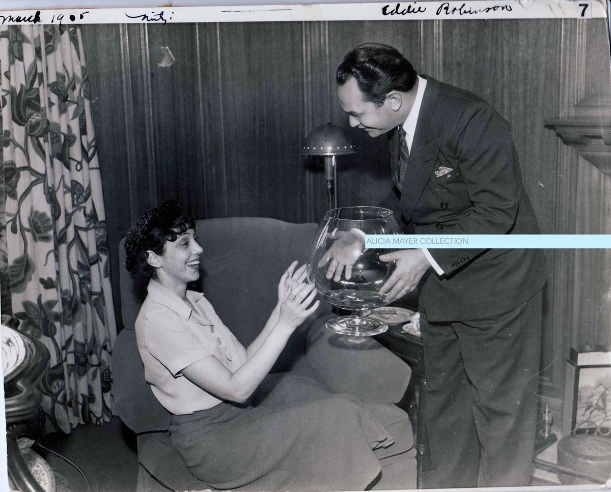 Ali Mayer tweet media