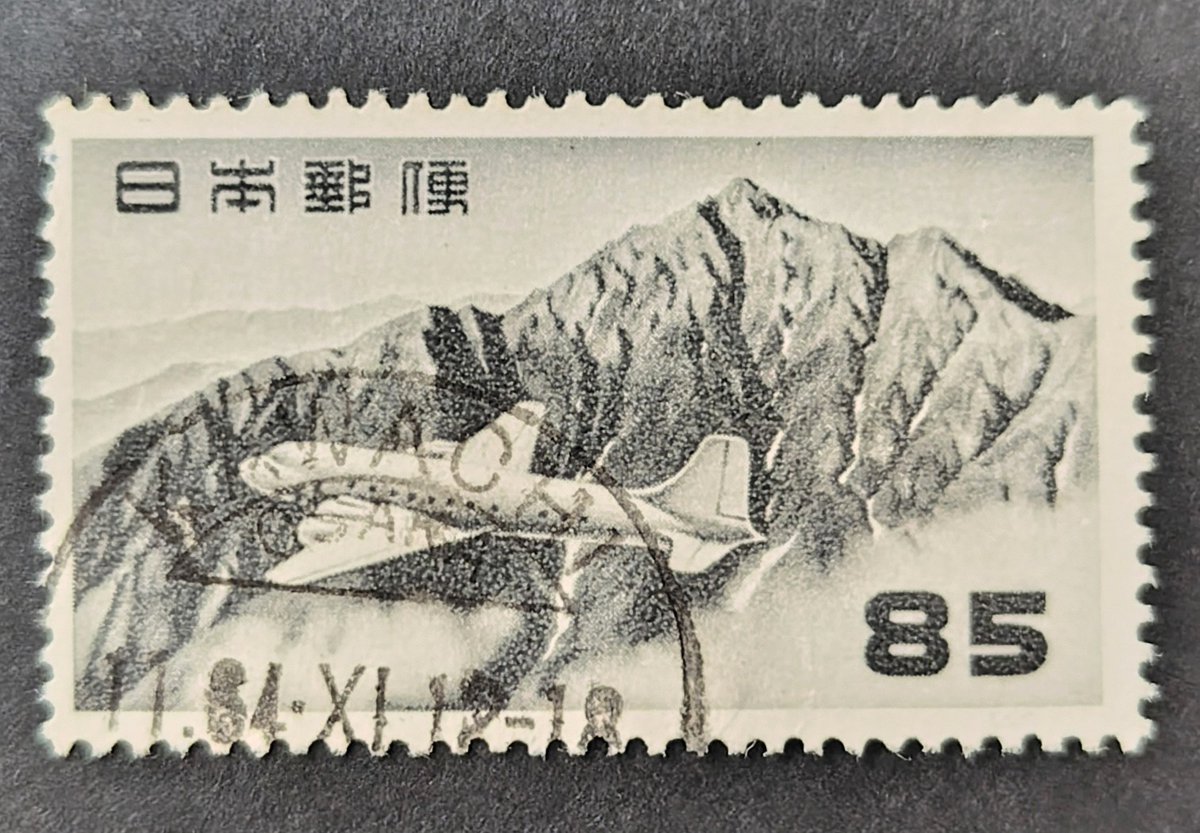 BELLYGOM®️ tweet media