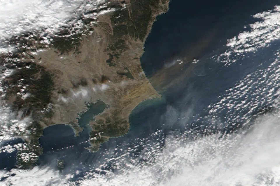 荒木健太郎 tweet media