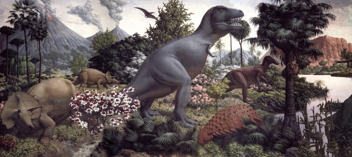 CamusAltamirano tweet media