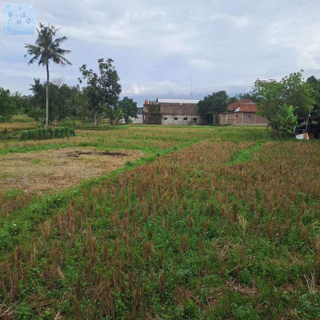 💭 baseconvo tweet media