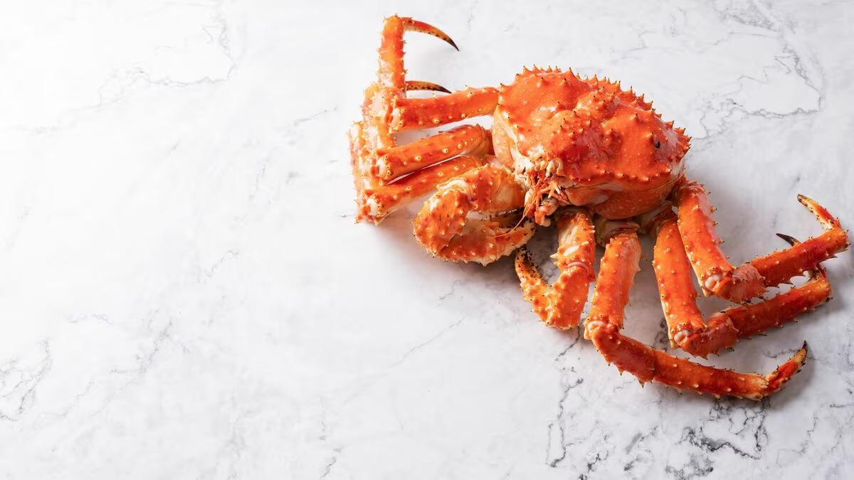 JBpress - ニュースの真相と深層がわかる – 世界情勢・政治・経済・ビジネス tweet media