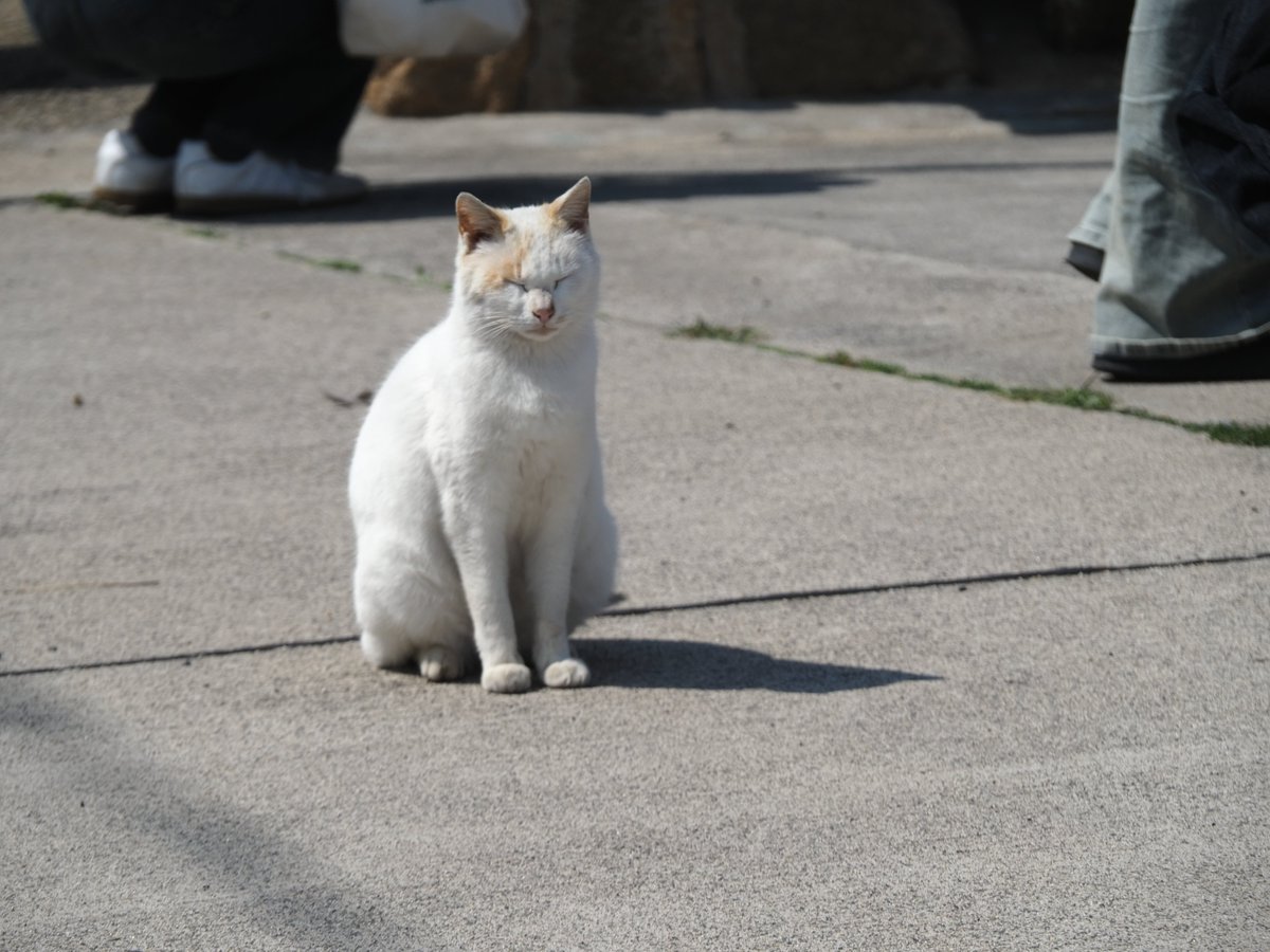 にごー tweet media