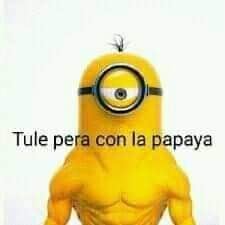 Johanplay5's tweet photo. @Dokistas @AlbertoSantay12 Ok me toco la libitina yeyyy... https://t.co/KsiP69VRrK