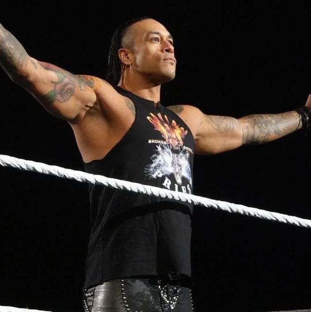 noah 🏹 tweet media