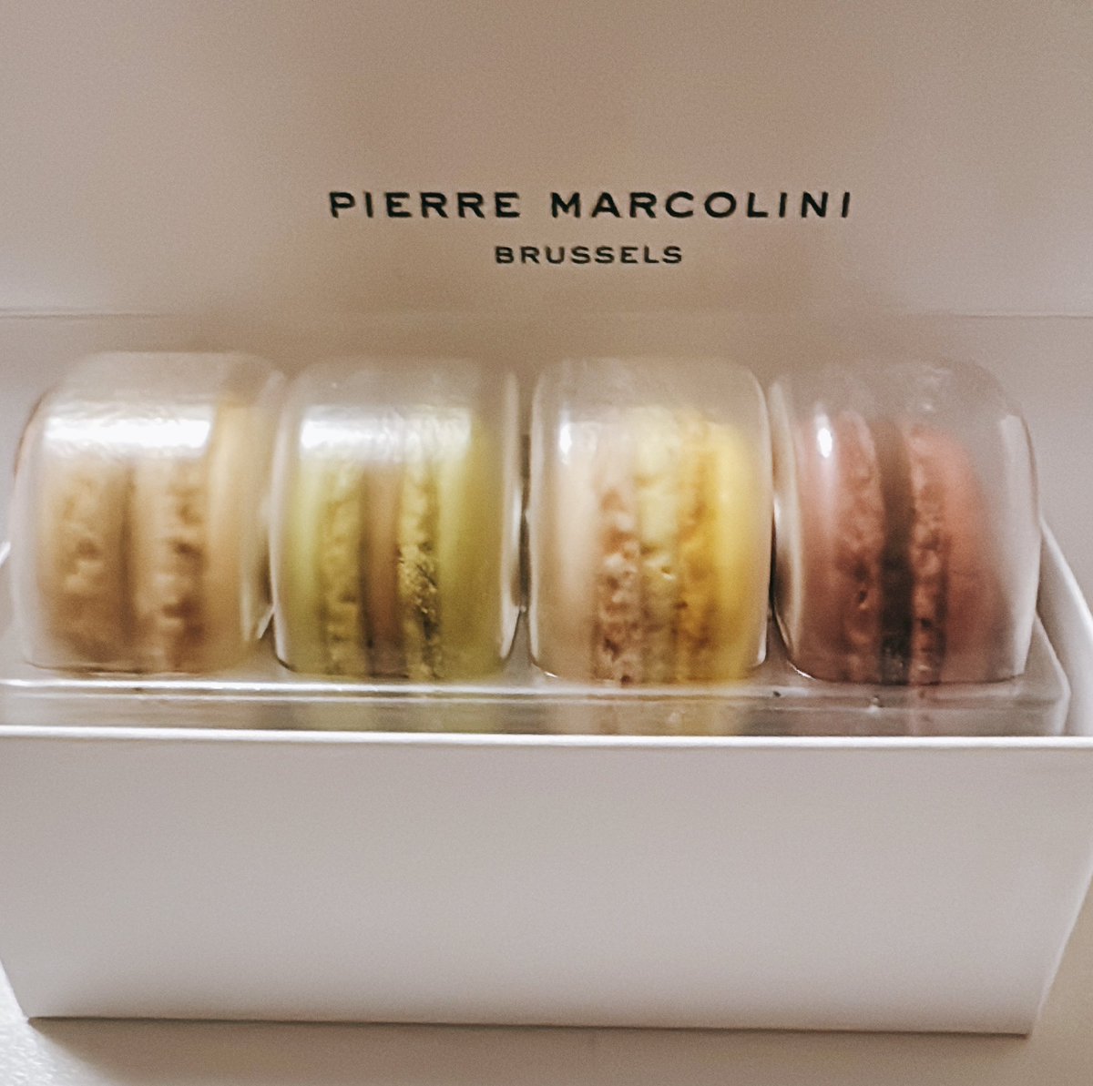 キキ🐝【Tia♛︎ra】 tweet media