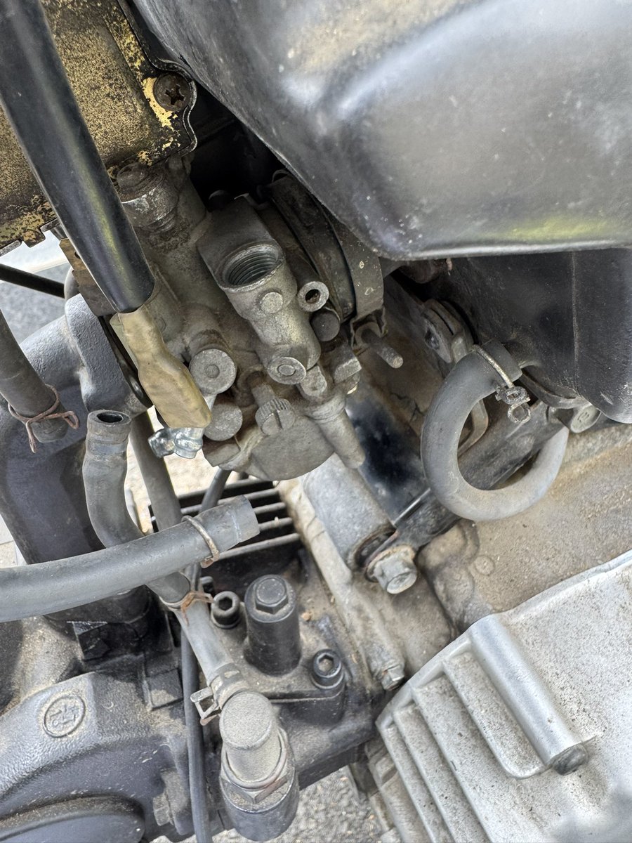 ひ い ら ぎ tweet media