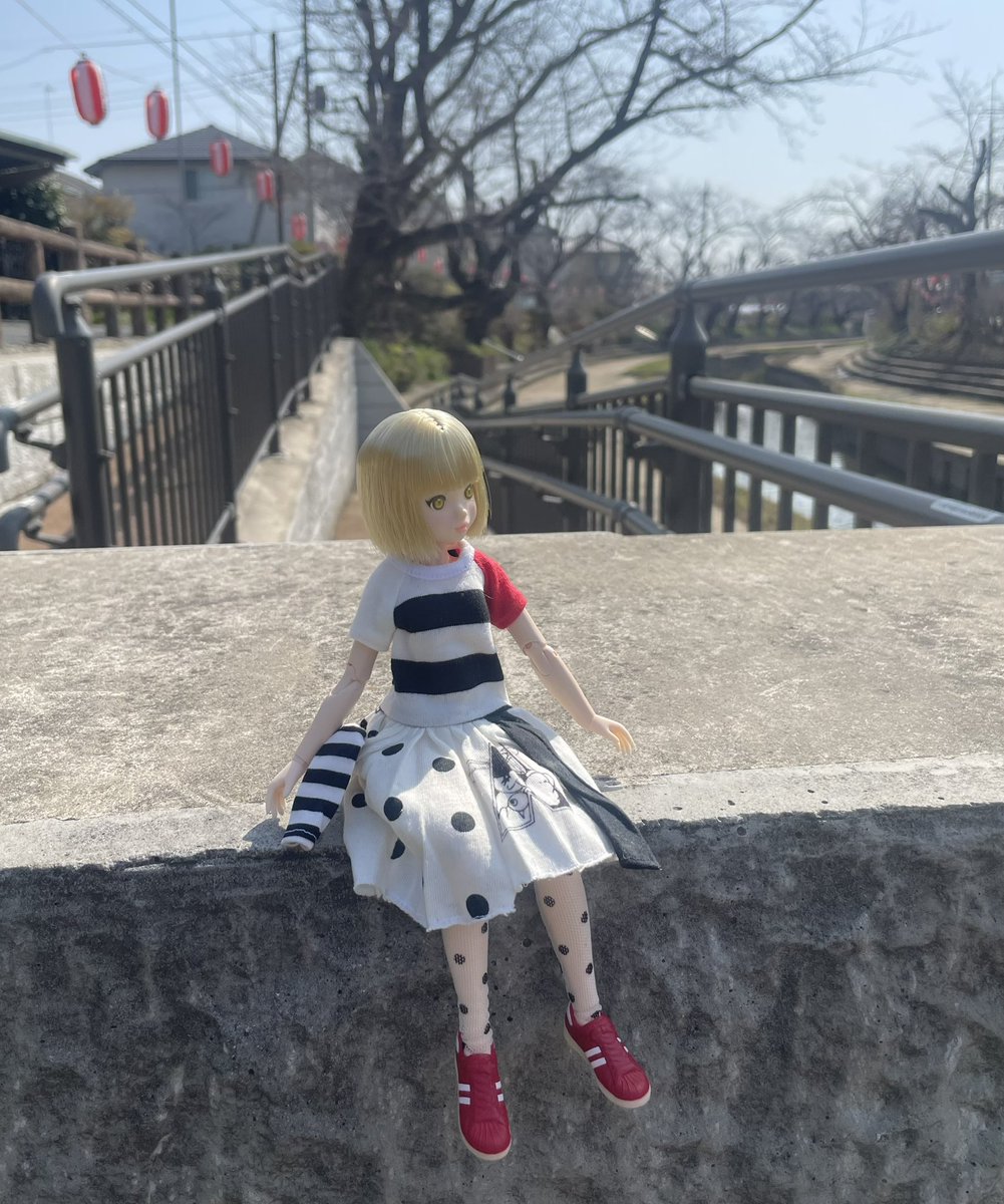 おはようございます

ちょうちん
さくら祭りの準備されてました

#ruruko