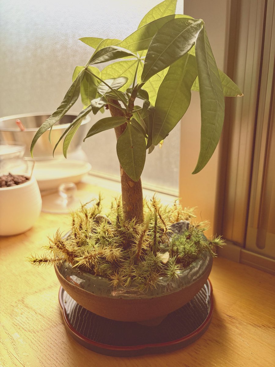 EGC🍶日本酒好きリーマン tweet media