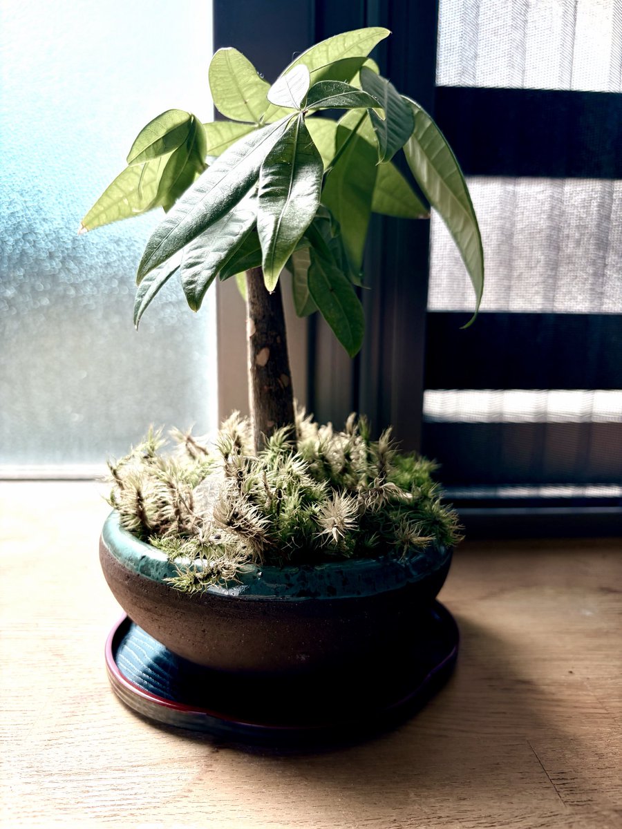 EGC🍶日本酒好きリーマン tweet media