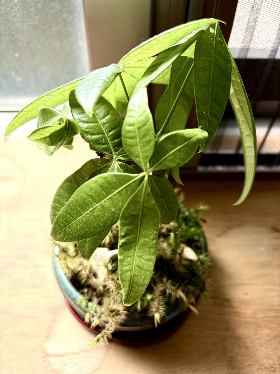 EGC🍶日本酒好きリーマン tweet media