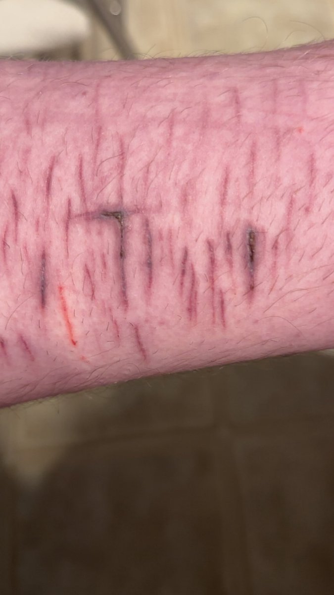 ꒰ 𝚜𝚝𝚊𝚛 ⸝⸝ ♡ྀི ꒱ tweet media