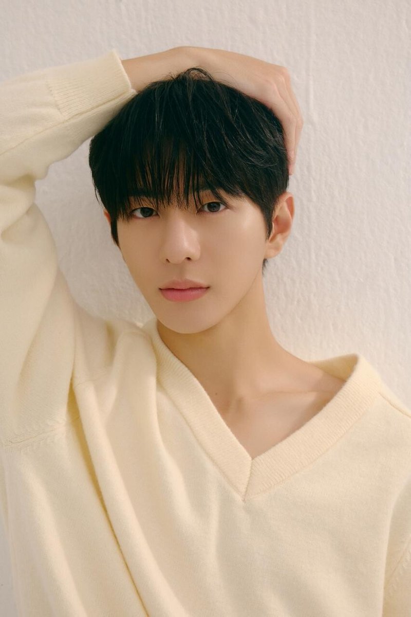 bomin archive tweet media