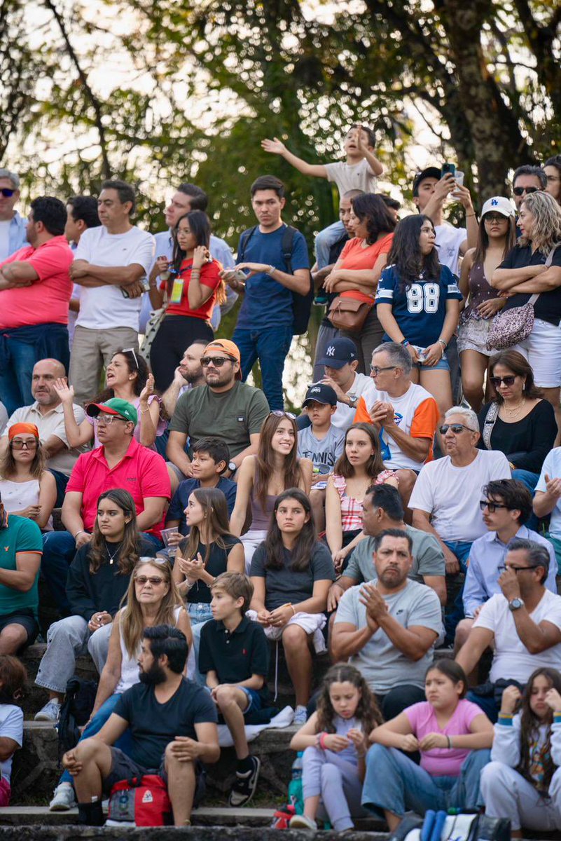 Daniel Altafi tweet media