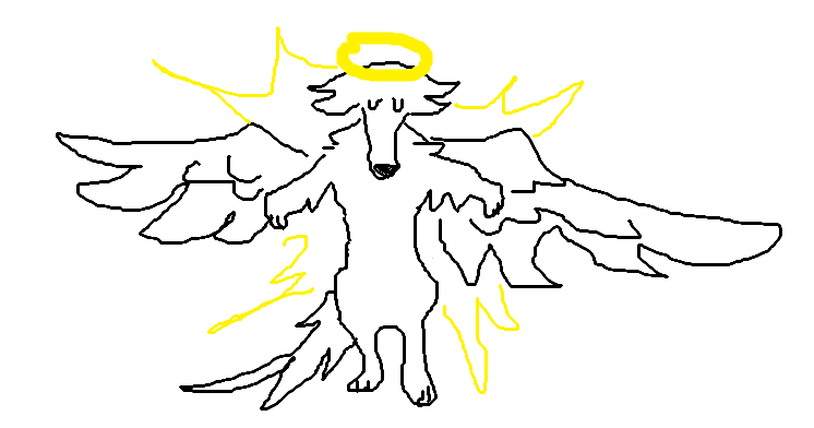 HACHI ! 🍉 tweet media