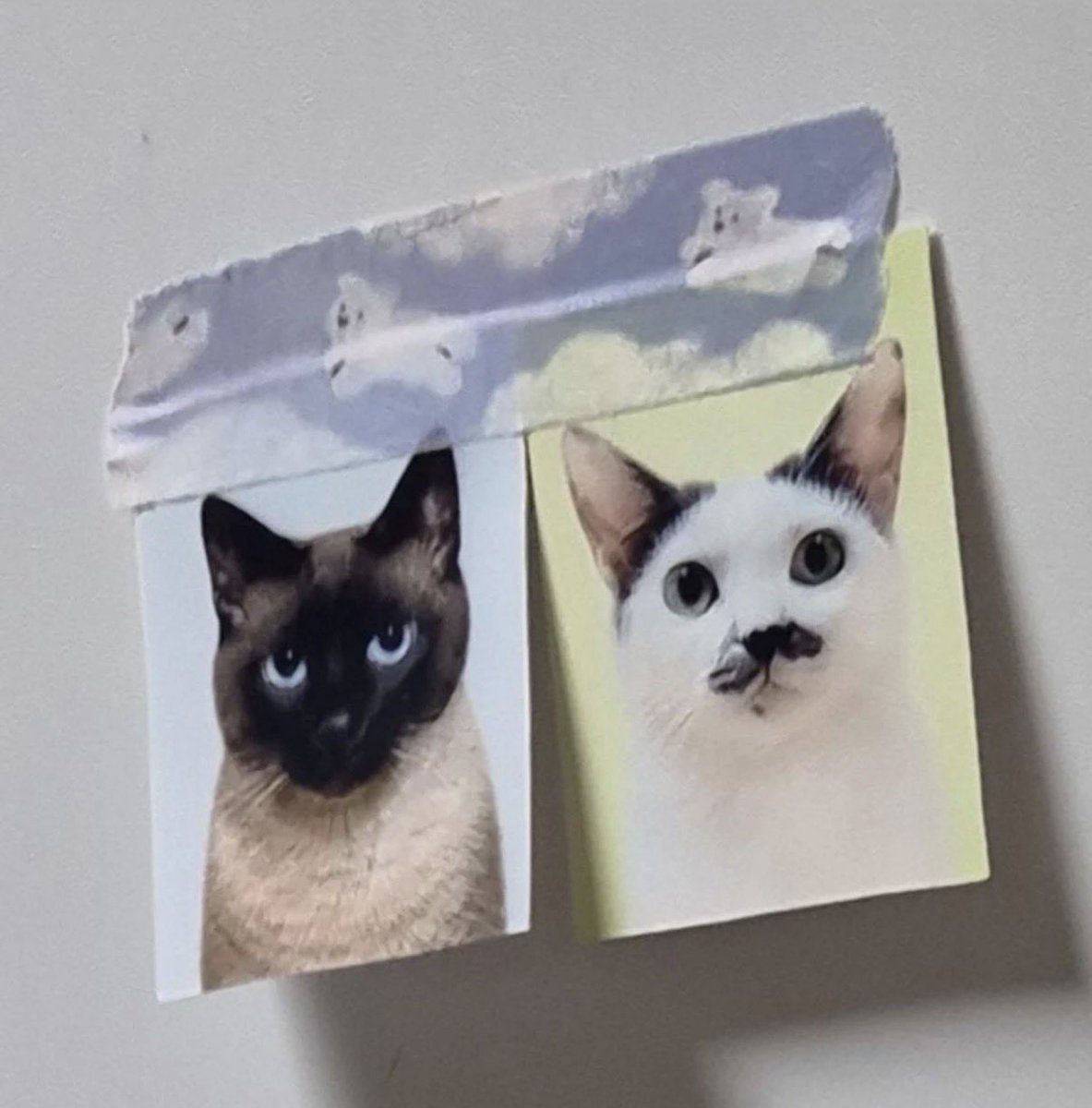 째앙금 tweet media