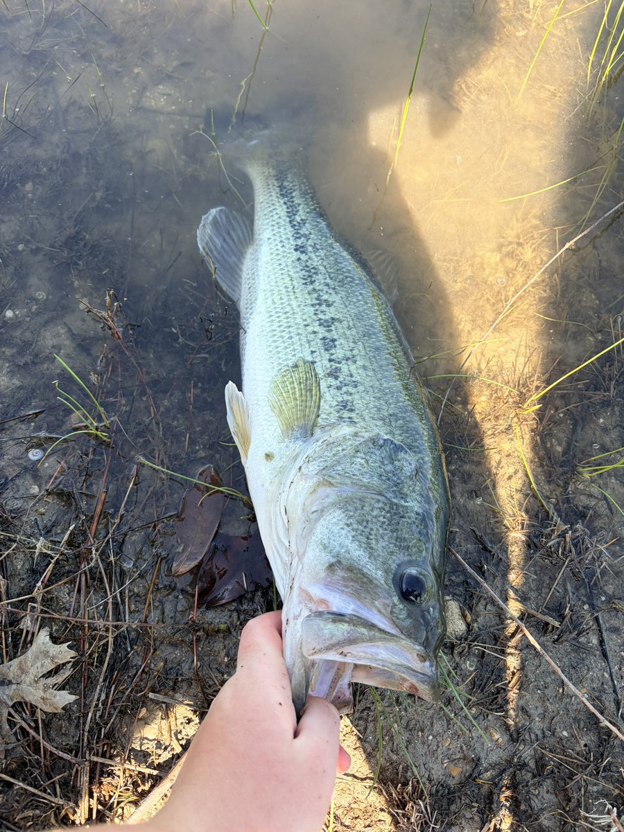 Carter Oswald ‘30 ATH tweet media