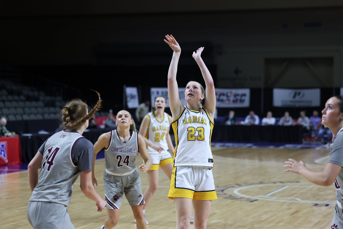 Marian Knights tweet media