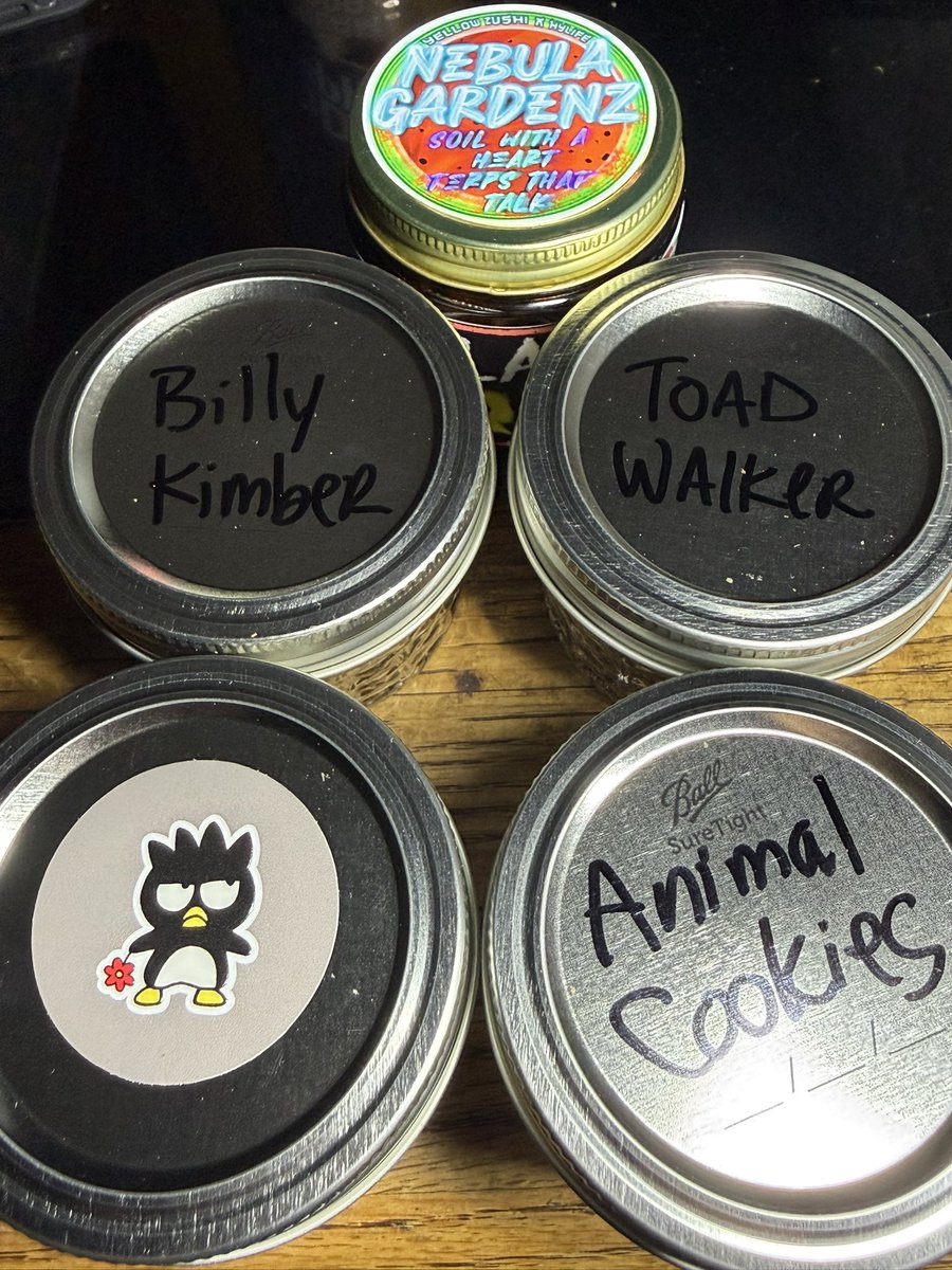 ismokeloud tweet media