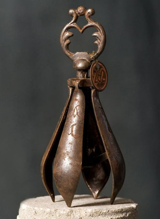 𝖕𝖚𝖓𝖎𝖘𝖍𝖊𝖉 𝖘𝖑𝖎𝖒𝖊 🩸 tweet media