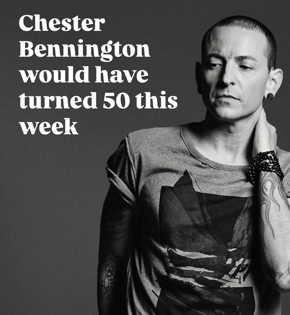 DachshundWizard 🧙♂️ tweet media