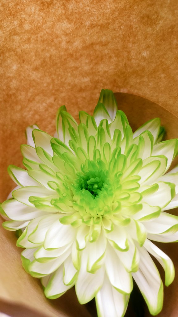 やーまん@バリラジ！ tweet media