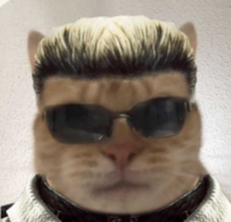 flesh automaton tweet media