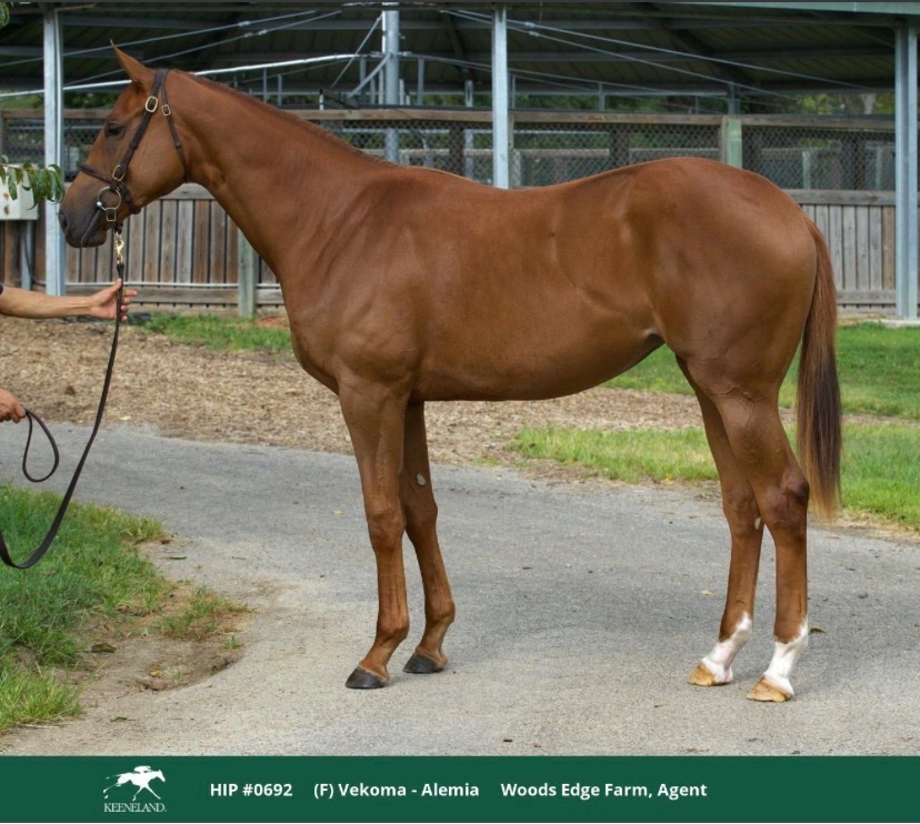 Save Horse Racing tweet media