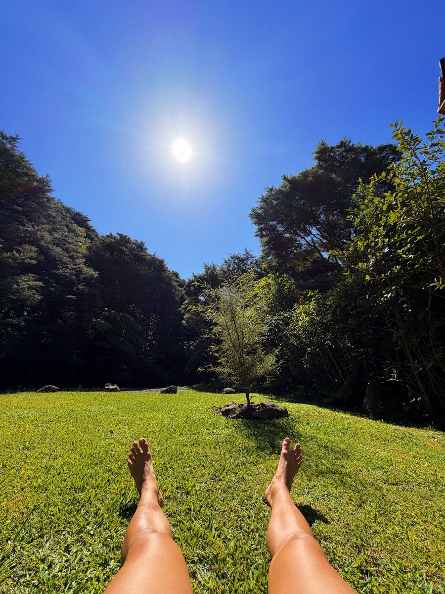 ⚡️🌞 Sol Brah 🌞🐬 tweet media