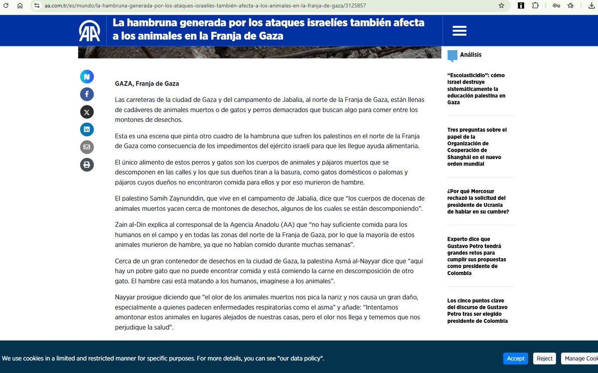 Asociación Antiespecista Contra el Maltrato,Elche. tweet media