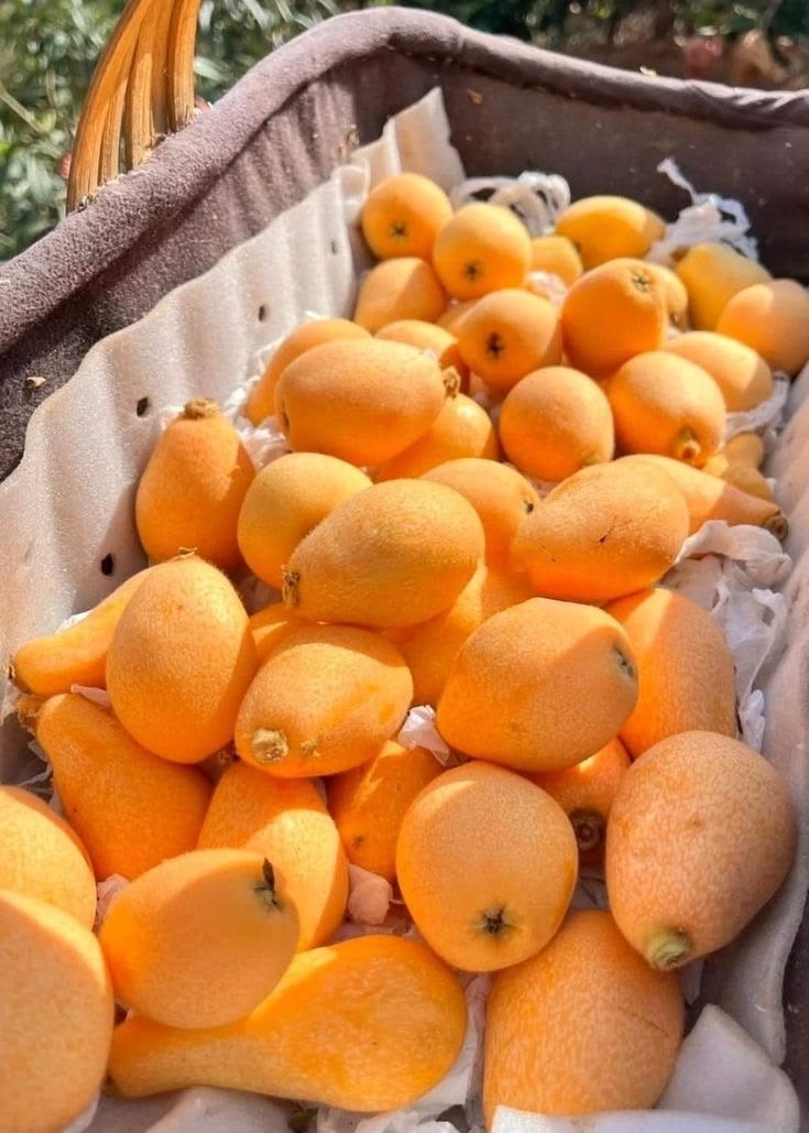 Xenia 🍒🍒🍒 tweet media