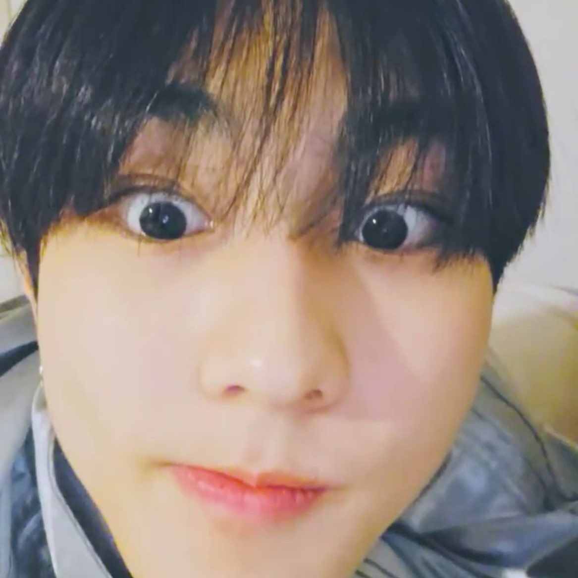 minty៹ | ENHYPEN IS SEVEN! tweet media