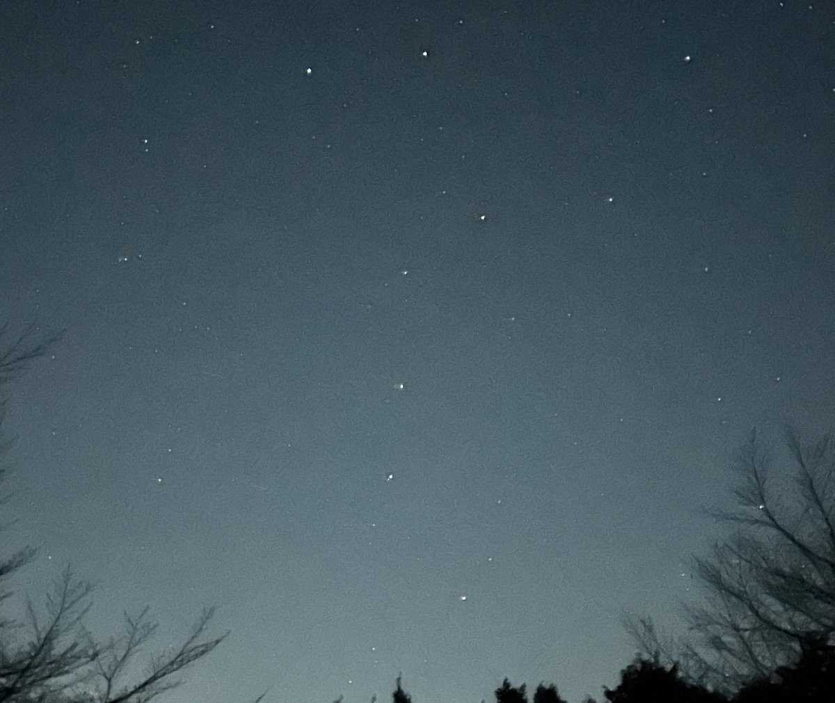 SHIBA-METAL tweet media