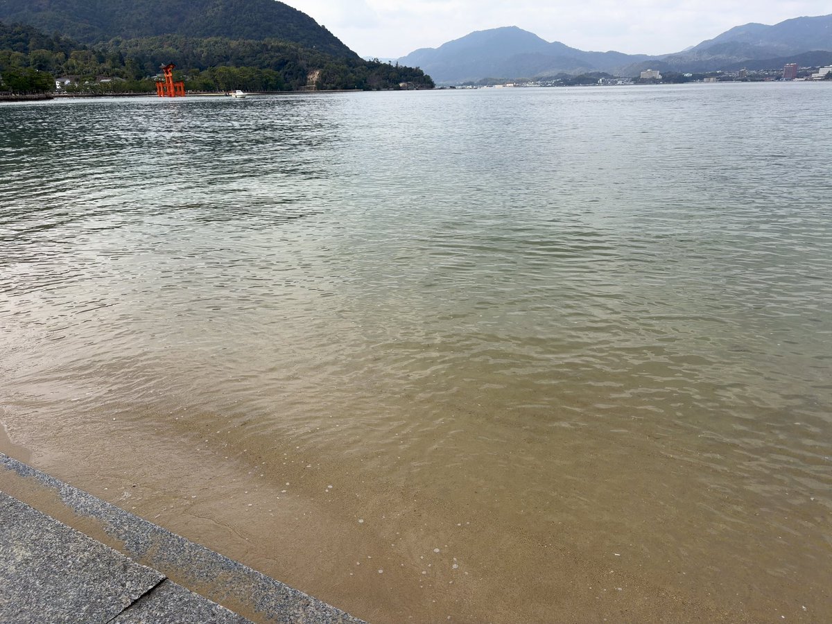 服部想之介 tweet media