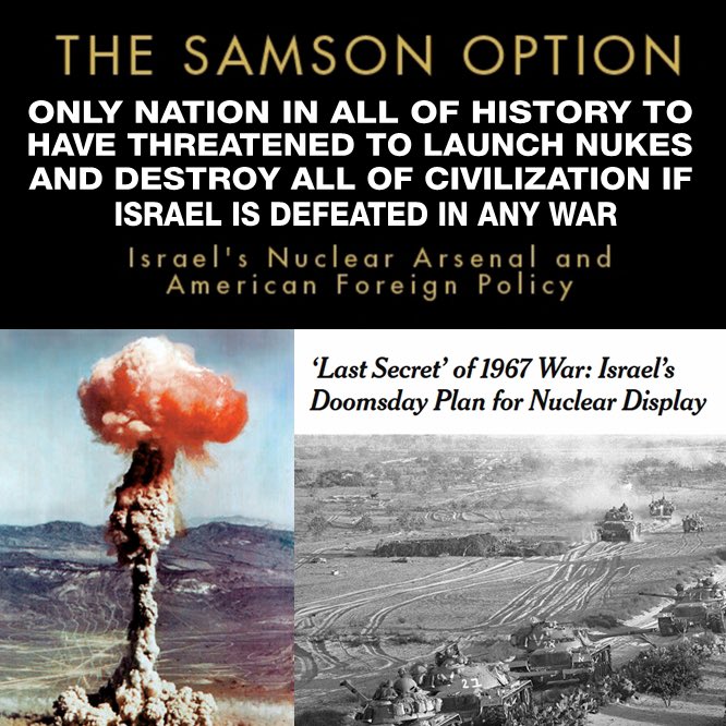 Amira Dalton 🇺🇸 tweet media