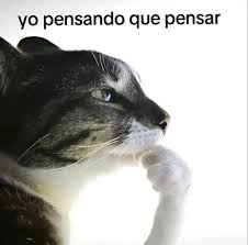 CarmenedOwO tweet media